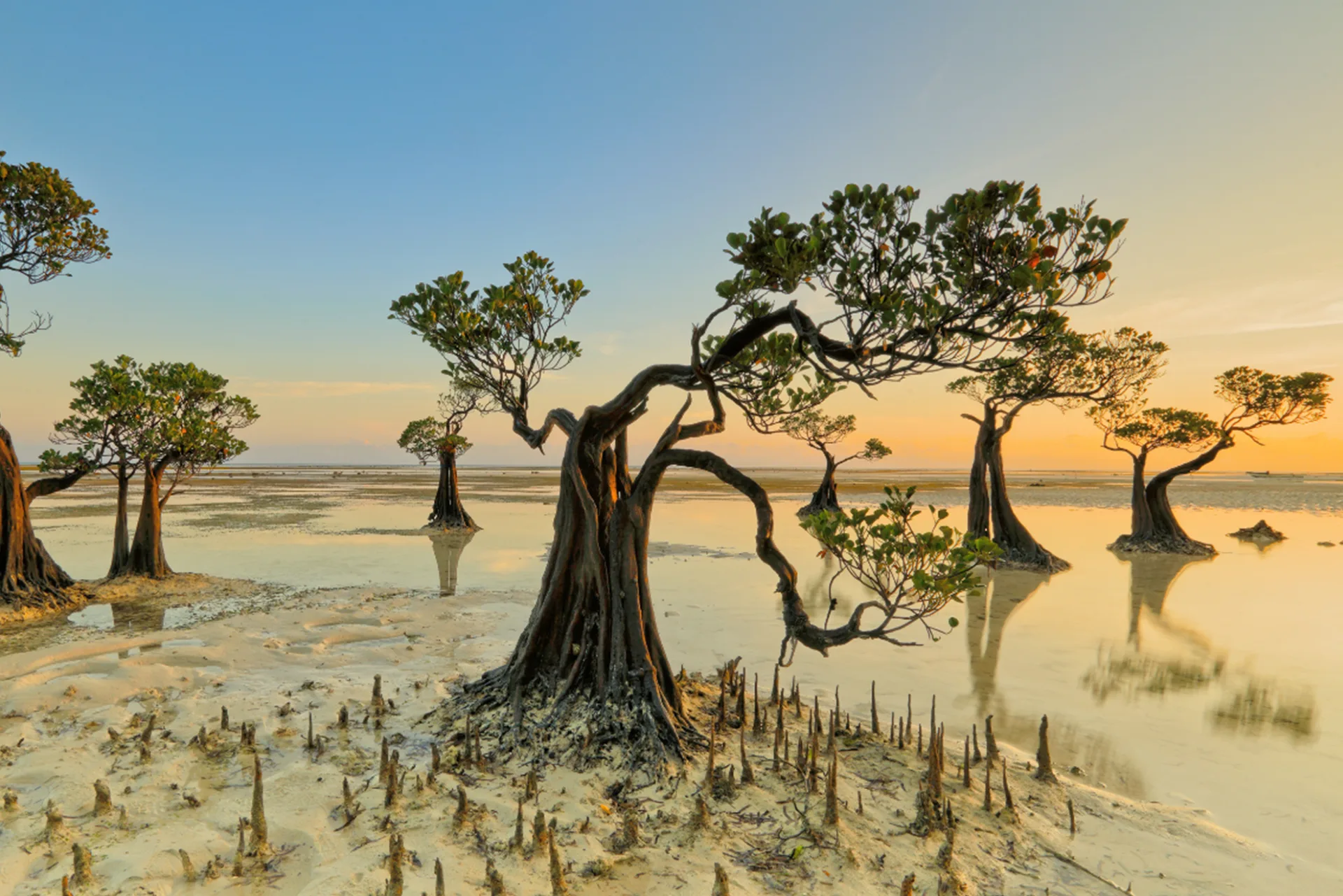 Sumba Island, Indonesia